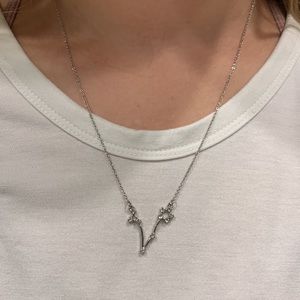 Silver Pisces constellation astrology necklace